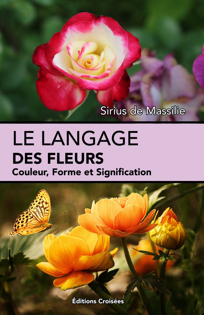 Le lexique du langage des fleurs : couleurs et signification